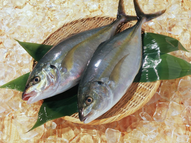 Обои картинки фото еда, рыба, морепродукты, суши, роллы