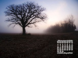 Картинка календари природа поле туман дерево