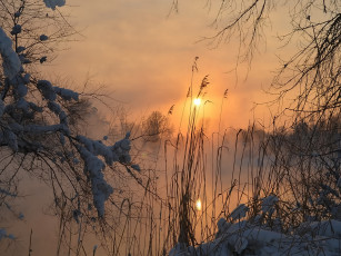 Картинка природа зима вечер солнце снег лес