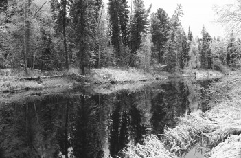 Картинка природа нижневартовска зима снег нижневартовск лес деревья река