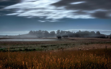 Картинка природа поля деревья туман луг облака