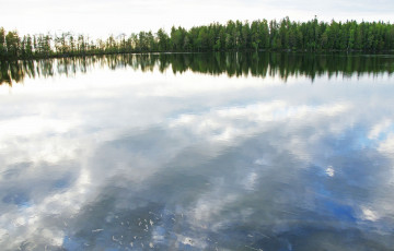 Картинка природа нижневартовска реки озера деревья нижневартовск озеро