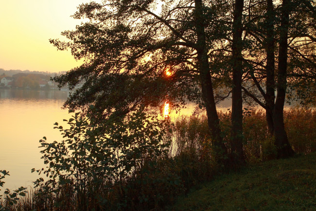 Обои картинки фото германия, фельдбергер, природа, реки, озера, река, деревья