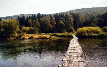 Картинка природа реки озера вода мост деревья