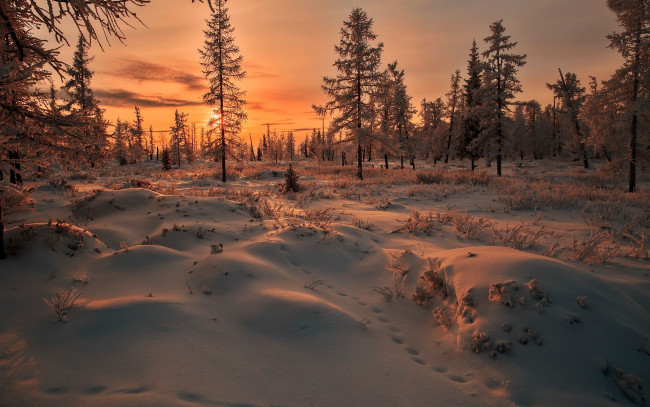 Обои картинки фото природа, зима, следы, снег, сугробы