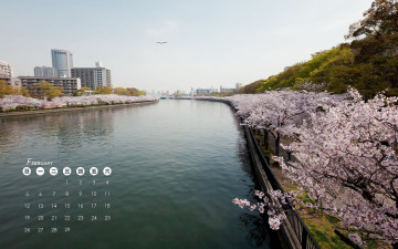 обоя календари, города, сакура, здания, вода, Япония, цветение