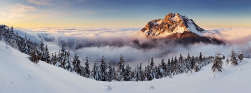 Картинка природа зима гора снег ели облака панорама пейзаж
