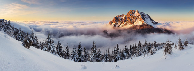 Обои картинки фото природа, зима, гора, снег, ели, облака, панорама, пейзаж
