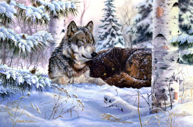 Обои картинки фото heart, and, soul, рисованные, mark, daehlin, волки, сосна, зима, шишки
