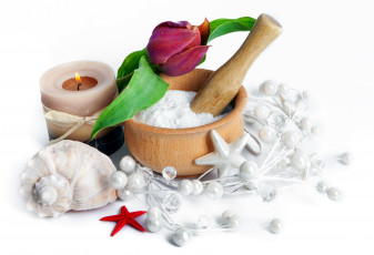 Картинка разное ракушки +кораллы +декоративные+и+spa-камни соль тюльпан раковина звезды свеча