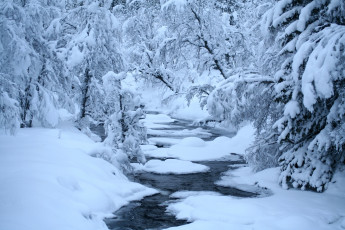 Картинка природа зима снег вода