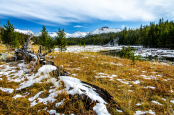 Картинка природа другое горы лес снег трава поле