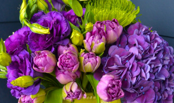 Картинка цветы разные+вместе гортензия гвоздика тюльпаны