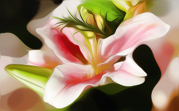 Картинка разное компьютерный+дизайн цветы лилия