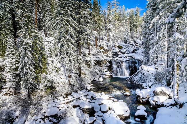 Обои картинки фото природа, зима, ели, ручей, снег