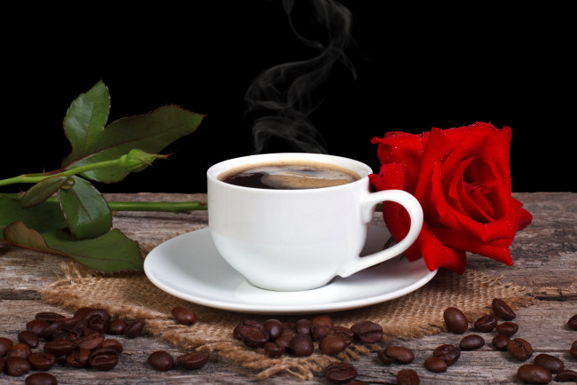 Обои картинки фото еда, кофе,  кофейные зёрна, роза, красный, зерна