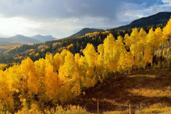 Картинка природа пейзажи осень деревья горы