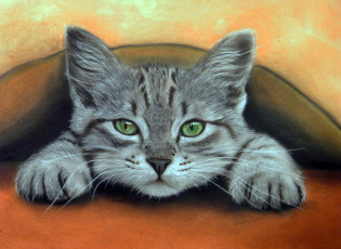 Картинка рисованное животные +коты взгляд фон котенок