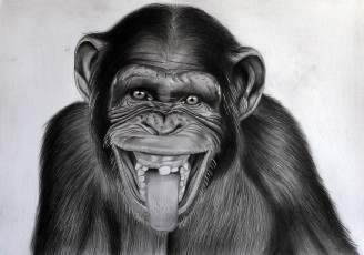 Картинка рисованное животные взгляд фон обезьяна язык