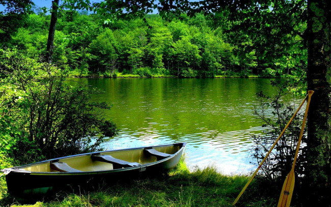 Обои картинки фото корабли, лодки,  шлюпки, деревья, трава, весла, берег, лодка, река, кусты