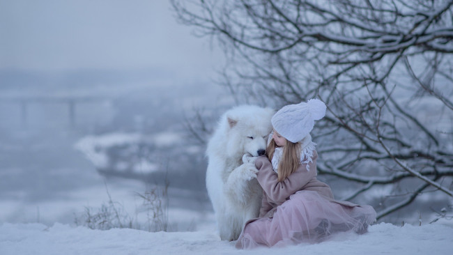 Обои картинки фото разное, люди, маленькая, девочка, самоедская, собака, снег, зима