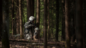 Картинка оружие армия спецназ солдат форма лес