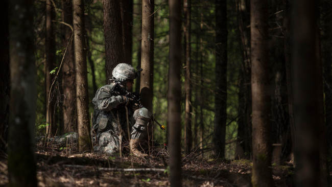 Обои картинки фото оружие, армия, спецназ, солдат, форма, лес