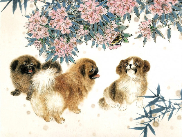 Обои картинки фото рисованное, животные,  собаки, собаки, пекинесы, цветы