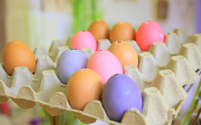 Обои картинки фото еда, Яйца, разноцветные, яйца