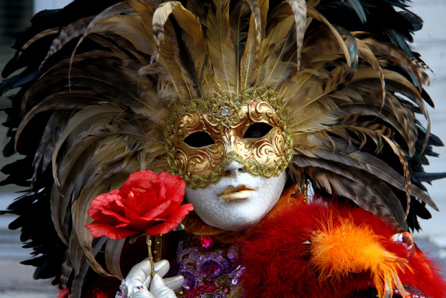 Обои картинки фото разное, маски, карнавальные, костюмы, венеция, перья, роза, карнавал