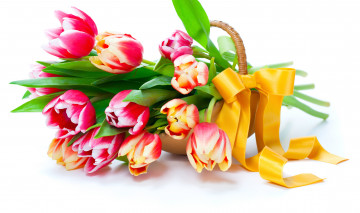 Картинка цветы тюльпаны весна лепестки