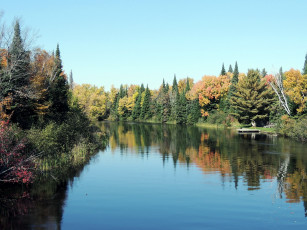 Картинка природа реки озера лес река вода отражение
