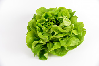 Картинка еда овощи салат