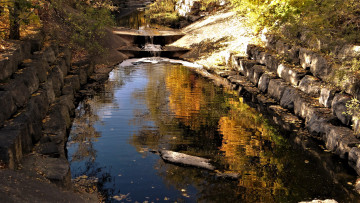 Картинка природа парк отражение вода