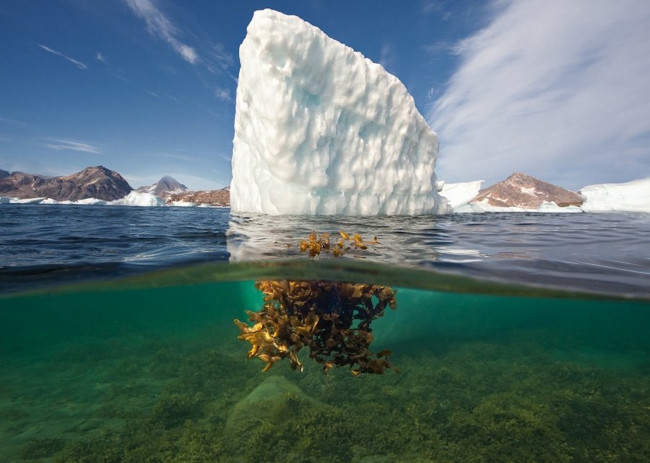 Обои картинки фото природа, айсберги и ледники, айсберг, океан