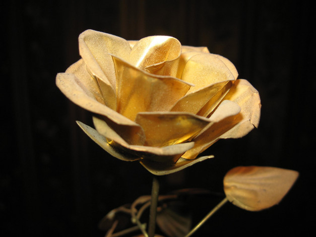 Обои картинки фото золотая, роза, 3д, графика, flowers, цветы