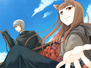 Картинка аниме spice and wolf