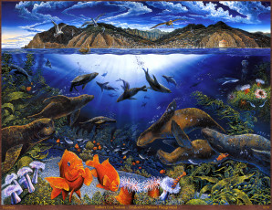 Картинка robert lyn nelson avalons offshore playground рисованные акулы городок пейзаж пеликаны рыбы птицы чайки горы тюлени морское дно