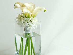Картинка цветы букеты композиции каллы вода ваза