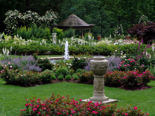 Картинка природа парк rose garden of the morris arboretum pennsylvania usa