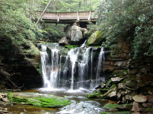 Картинка природа водопады blackwater falls state park elakala usa
