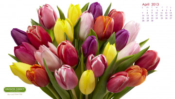 обоя календари, цветы, букет, тюльпаны