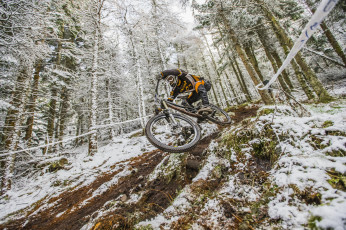 Картинка спорт велоспорт гонка фон велосипед снег лес
