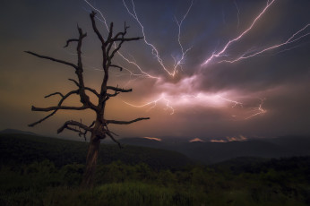 Картинка природа молния +гроза гроза дерево ночь