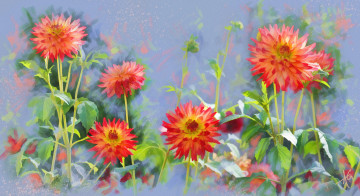 Картинка рисованное цветы георгины