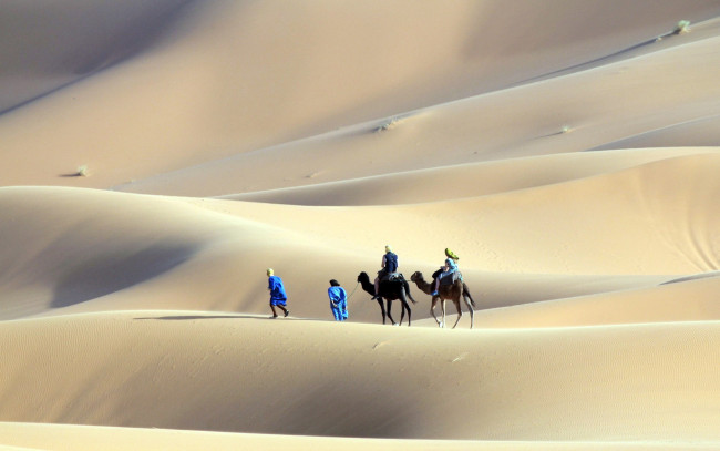 Обои картинки фото природа, пустыни, люди, барханы, верблюды, пустыня, песок