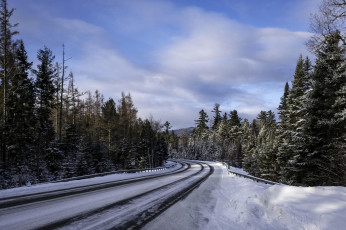 Картинка природа дороги зима дорога лес деревья пейзаж