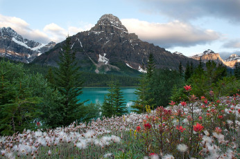 Картинка природа пейзажи горы озеро цветы
