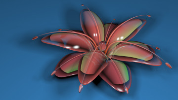 Картинка 3д+графика цветы+ flowers узор фон цвета лепестки цветок