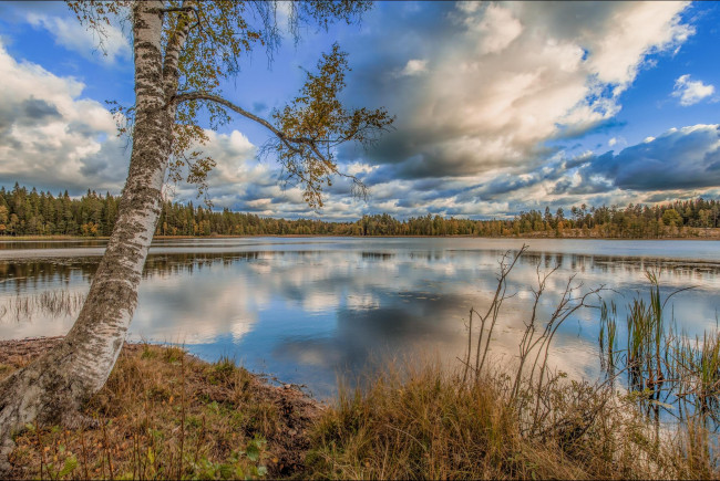 Обои картинки фото природа, реки, озера, пейзаж, деревья, озеро, осень, лес